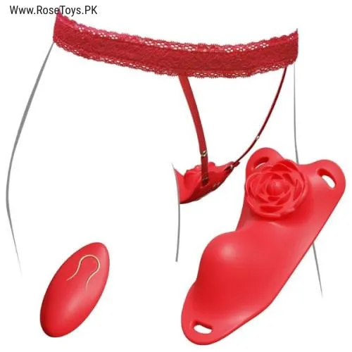 Wearable Panty Vibrator with Remote