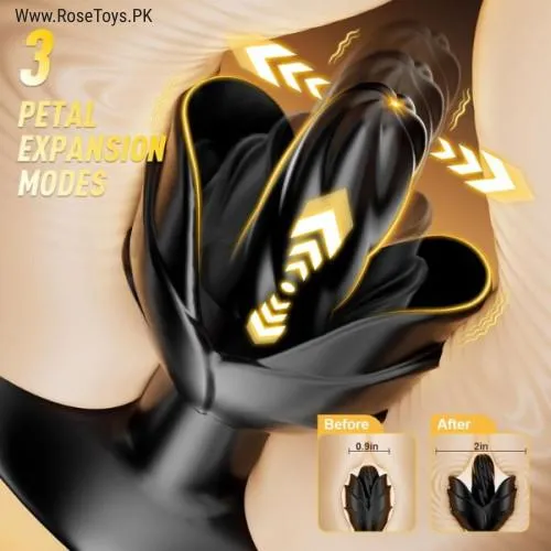 Prostate Massager Anal Toy